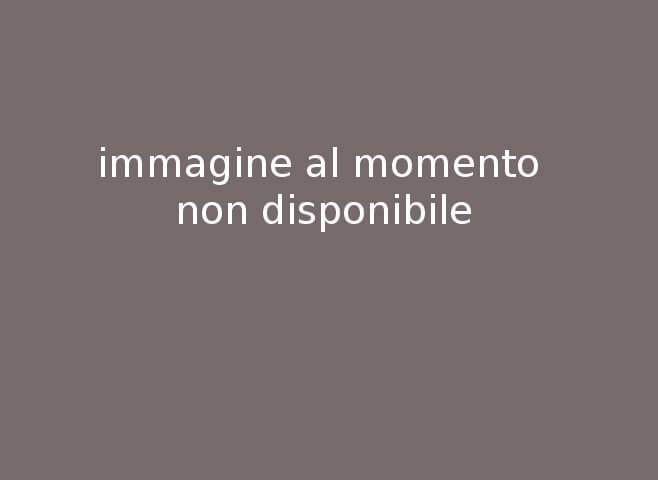 <p>linguaggio e d.s.a.</p>